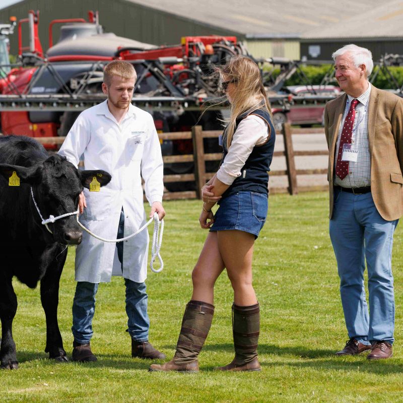 Judging-at-Bishop-Burton-Colleges-Stock-Skills-event..jpg