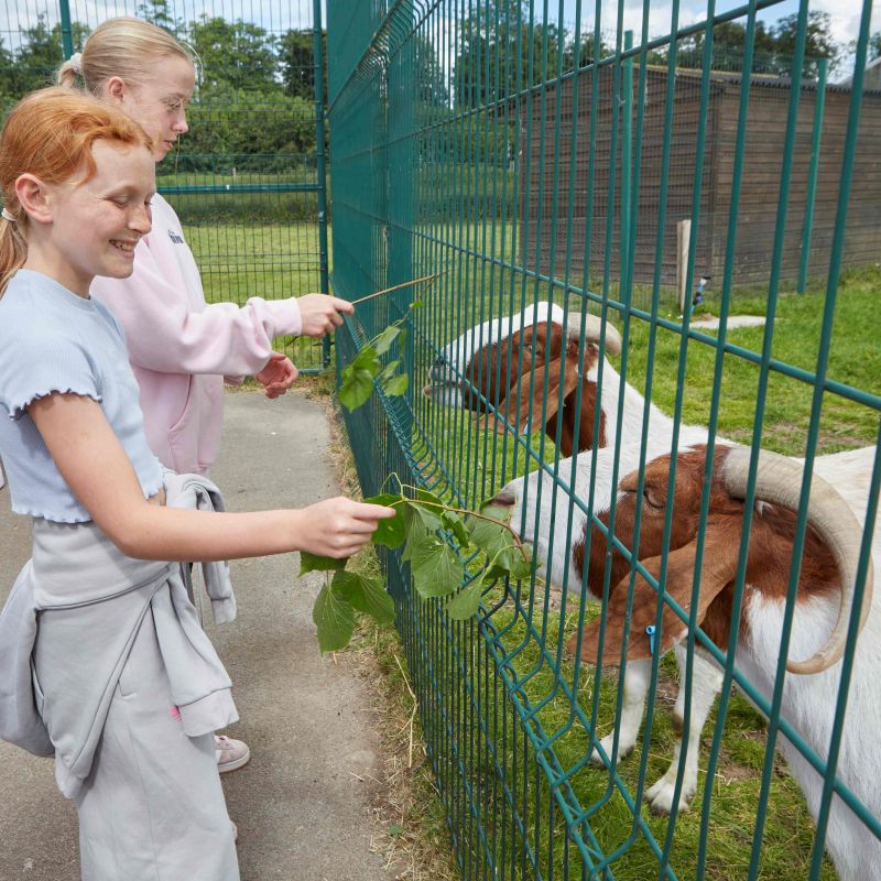 Animal-feeding-at-Spring-Live..jpg
