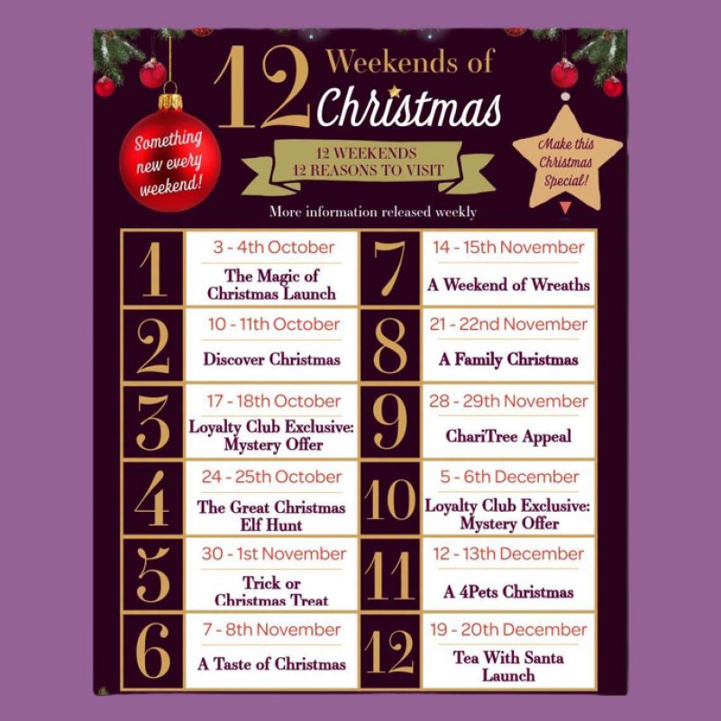 Screenshot-12-Weekends-to-Christmas.png