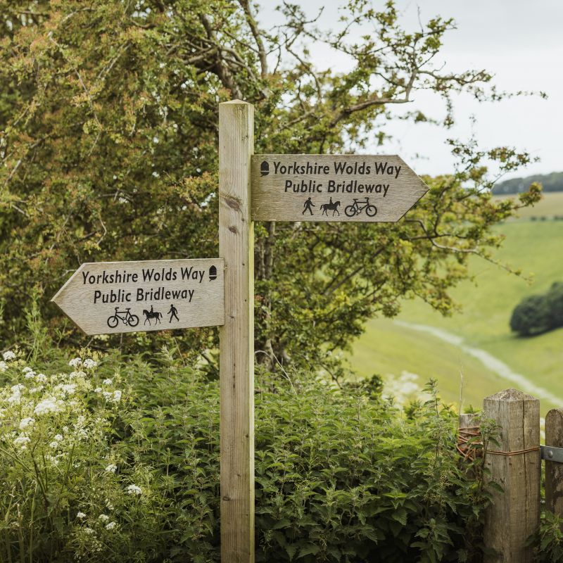 walking-east-yorkshire-2.jpg