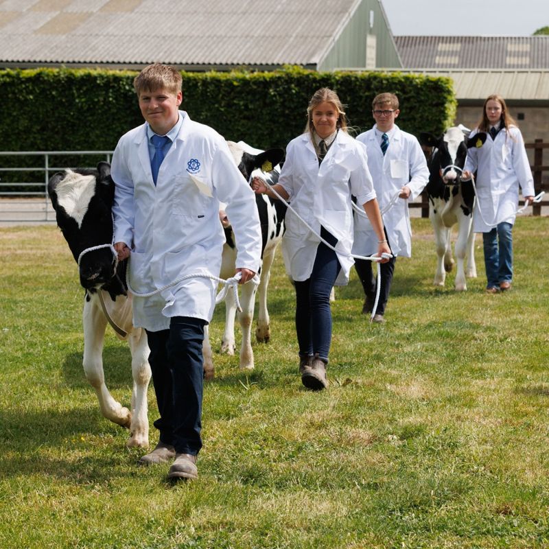 Bishop Burton College Marks 70 Years Of Agricultural And Equine Excellence With Stock Skills Showcase