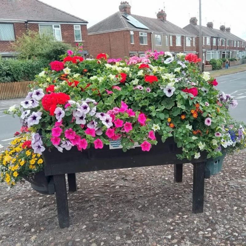 Blooming Marvellous